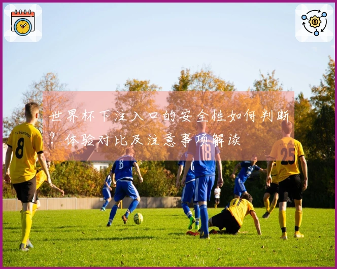 世界杯下注入口的安全性如何判断？体验对比及注意事项解读