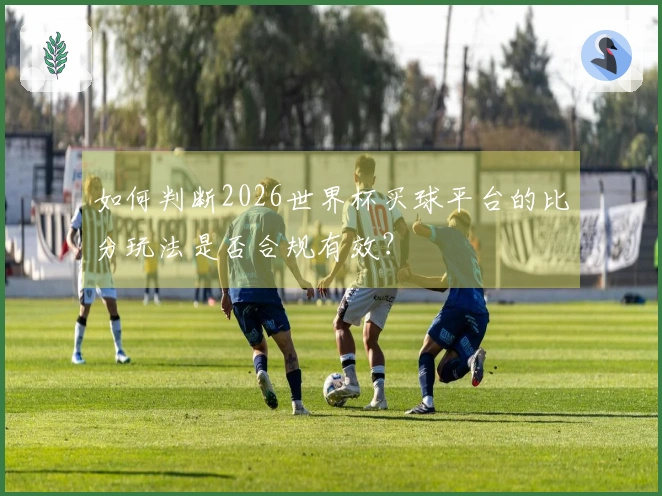 如何判断2026世界杯买球平台的比分玩法是否合规有效？