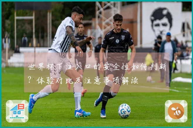 世界杯下注入口的安全性如何判断？体验对比及注意事项解读